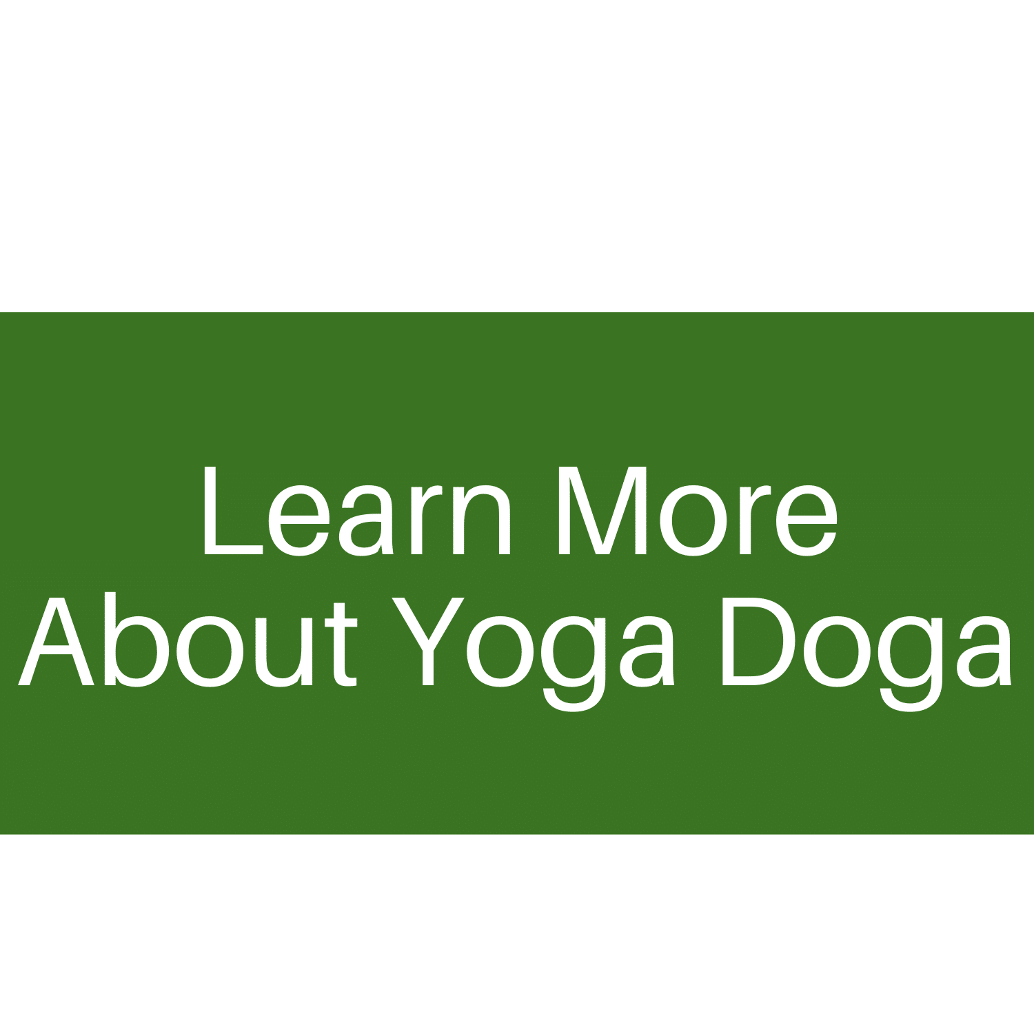 Learn More About Yoga Doga
