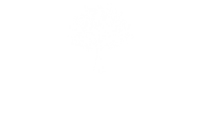 Doulagivers White Logo