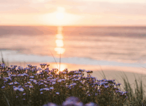 Sunrise over calm water, symbolizing peace and a gentle transition at the end of life