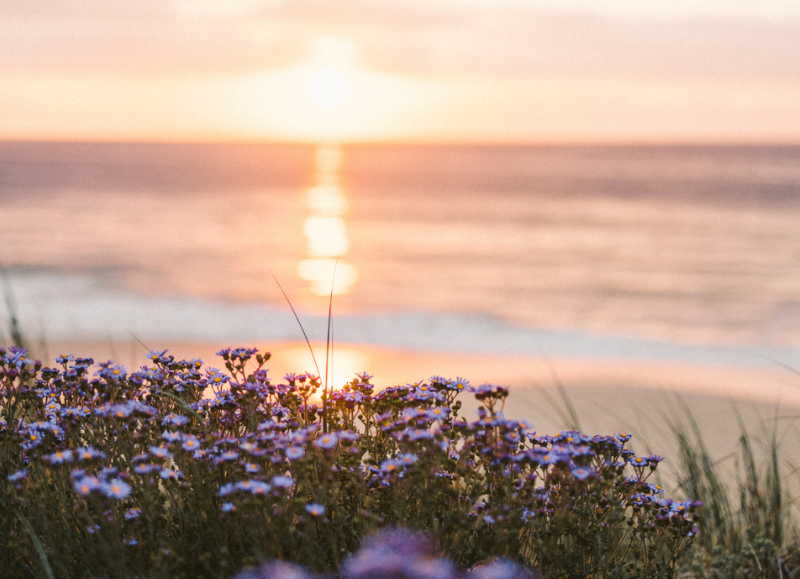 Sunrise over calm water, symbolizing peace and a gentle transition at the end of life