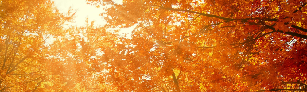 User banner image