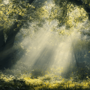 Soft golden sunlight filtering through a peaceful forest canopy, symbolizing Jane Goodall’s lifelong connection to nature and the quiet beauty of life’s final chapter.